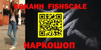 амф Сланцы