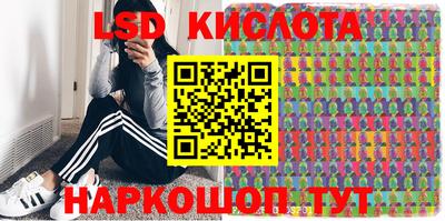 амф Сланцы