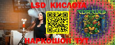 амф Сланцы