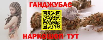 амф Сланцы