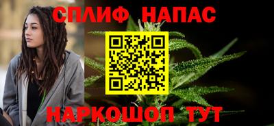 амф Сланцы