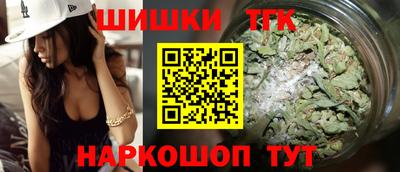 амф Сланцы