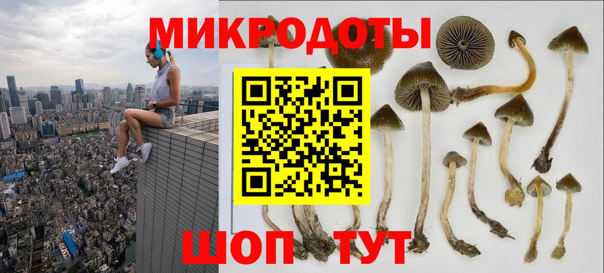 Псилоцибиновые грибы ЛСД Пушкино