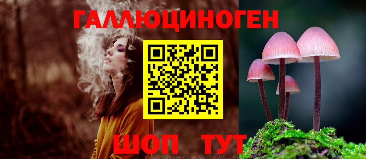 Пушкино  Псилоцибиновые грибы ЛСД  Вход с VPN  Псилоцибиновые грибы GOLDEN TEACHER 